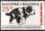 Bulgarie 1997 Y&T 3706 oblitr Chien