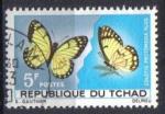 Tchad 1967 - YT 137 - Papillons  - Colotis prodomedia klug 