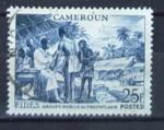 Cameroun : n 303 obl