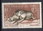  Ctes Franaises des Somalis 1958 - YT 287 - phacochre