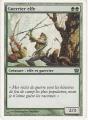 Carte Magic The Gathering / Guerrier Elfe / 9 Edition.