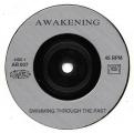 SP 45 RPM (7")  Awakening  "  Swimming through the past  "