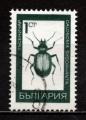 Bulgarie n 1613 obl, Calosoma Sycophanta, TB
