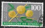 Sénégal 1967 YT PA n° 59 (o)