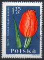 POLOGNE N 1400 o Y&T  1964 Fleurs (Tulipe)