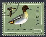 TIMBRE POLOGNE Obl  Faune Canard