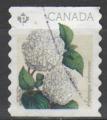 Canada 2016 - Fleur: hydrange blanche, adhsif - YT 3221 /Sc 2898 