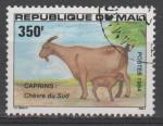 MALI  N 486 o Y&T 1984 Caprins du Mali (Chvre du Sud)