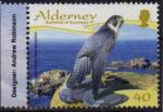 Alderney (Aurigny) 2008 - Rapace sdentaire: faucon plerin - YT 328/SG 337 **