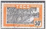 TOGO N 136 de 1924 oblitr TB "le cacaoyer"
