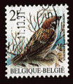 Belgique 1989 - Y&T 2348 - oblitr - oiseau (moineau riquet)