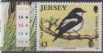 Jersey 2008 - Oiseau migrateur, gobe-mouche noir  - YT 1435/SG 1402 **