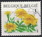 Belgique 2008 Oblitr Used Fleurs Flowers Oeillet d'Inde Tagetes patula