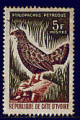 Cte Ivoire 1966 - Y&T 251 - oblitr - oiseau perdrix pierre