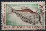 Congo - Y.T.146 - Poissons :Argyropelecus gigas - oblitr  - anne 1961