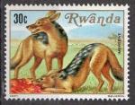 Rwanda 1981; Y&T n 1001 **; 30c, faune, Chacal  chabraque