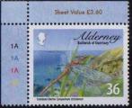 Alderney (Aurigny) 2010 - Libellule, symptrum stri ou fasci -YT 370/SG 381 **