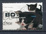 Timbre PAYS BAS 1998  Obl   N 1650   Y&T  Faune Chats 