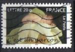  FRANCE 2005 - YT 3805 / A 55 - Ob - Timbre de naissance ; c'est un garon