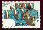 Espagne 1995 - Y&T 2932 - oblitr - champignon shaggy ink cap