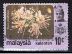 Malaysia - Kelantan / 1979 / Srie courante / YT n 114, oblitr