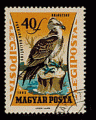 Hongrie 1962 - YT PA251 - oblitr - balbuzard pcheur