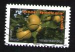 Oblitr Des fruits pour une lettre verte Pommes Reinette Grise FRANCE 2012