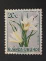 Ruanda Urundi 1953 - Y&T 179 obl.