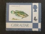 Gibraltar 1981 - Y&T 420 neuf **