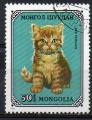 MONGOLIE N 1000 o Y&T 1979 Chats (Persans rouge)