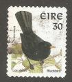 Ireland - Scott 1106   bird / oiseau