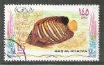 Ras al Khaima : 1972 : Y-T n 80e