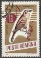 Timbre oblitr n 2213(Yvert) Roumanie 1966 - Oiseau, rousserolle turdode