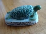 Fve brillante tortue marine