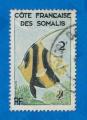  Cte des Somalis:  Y/T   N 293 o