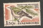 Luxembourg - Scott 487  bird / oiseau