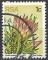 AFRIQUE DU SUD - 1977 - Yt n 416 - Ob - Fleurs : protea repens