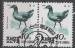 COREE DU NORD N 2169 o Y&T 1990 Oiseau (Gallinula chlopus)