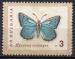 BULGARIE N 1157 o Y&T 1962 Papillons (Lycaena meleager)