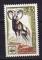 FR34 - Yvert n 1613** -  1969 - Mouflon europen (Ovis orientalis musimon)