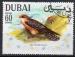 DUBAI N 100A (E) o  Y&T 1968 Oiseau (Faucon)