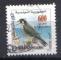 TUNISIE 2002 - YT 1453 - Faucon plerin (Falco peregrinus)