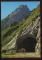 CPM 64 Route du Col de l'Aubisque Le Tunnel et le Grand Gabizo Vaches