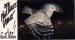 Nlle-CALEDONIE (988) - Le Cagou, oiseau emblmatique de N-C, en voie de dispar.