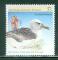 Artic Australien 1988 Y&T 83 oblitr Oiseau Albatros