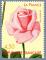 Congrs mondial des roses anciennes Rose La France 1867 N 3250