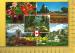 CPM  CANADA, QUEBEC, MONTREAL : Le Jardin Botanique, 5 vues