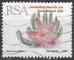 AFRIQUE DU SUD - 1993 - Yt n 781 - Ob - Plante grasse : stapelia grandiflora