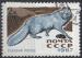URSS N 3265 o Y&T 1967 Animaux  fourrures (Renard bleu)