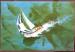 CPM  Voiliers  Sail for Europe  Yvan Good (carte europenne en fond de mer)
